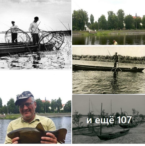 Нажмите на изображение для увеличения.  Название:	Скриншот 29-06-2024 100412.jpg Просмотров:	0 Размер:	106.1 Кб ID:	4504286