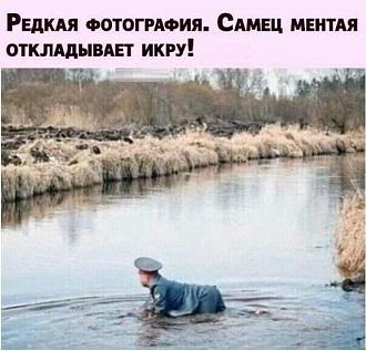 Нажмите на изображение для увеличения.

Название:	449754358_1884809871988143_4847870911898437703_n.jpg
Просмотров:	1089
Размер:	65.3 Кб
ID:	4504785