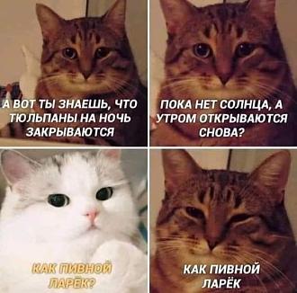 Нажмите на изображение для увеличения.

Название:	449679230_7555537384558425_4257159293532495808_n.jpg
Просмотров:	742
Размер:	60.8 Кб
ID:	4505095