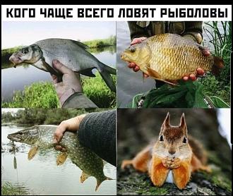Нажмите на изображение для увеличения.

Название:	IMG-6bbeefc664638689138550472051ae34-V.jpg
Просмотров:	1016
Размер:	335.4 Кб
ID:	4505450