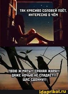 Нажмите на изображение для увеличения.  Название:	IMG-9c9b9db4ab20e9182b553a7de57b5aba-V.jpg Просмотров:	0 Размер:	30.1 Кб ID:	4505496