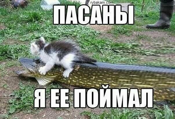 Нажмите на изображение для увеличения.

Название:	2-13340429.jpg
Просмотров:	2579
Размер:	107.2 Кб
ID:	4505650