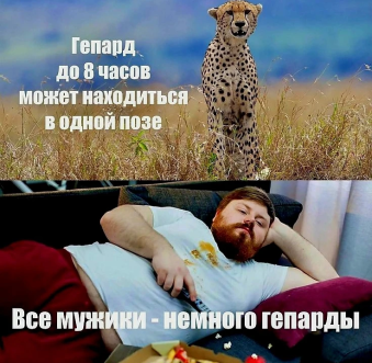 Нажмите на изображение для увеличения.

Название:	photoeditorsdk-export (12).png
Просмотров:	2551
Размер:	218.0 Кб
ID:	4505723