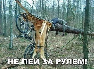 Нажмите на изображение для увеличения.

Название:	451510075_1886487961873380_6843923746292305502_n.jpg
Просмотров:	2475
Размер:	62.3 Кб
ID:	4505793