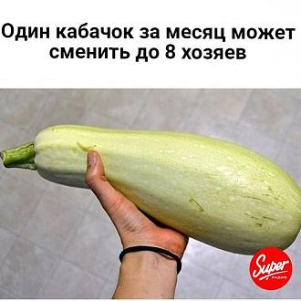 Нажмите на изображение для увеличения.

Название:	451369098_994859039309404_8313362346391302991_n.jpg
Просмотров:	1782
Размер:	52.6 Кб
ID:	4505948