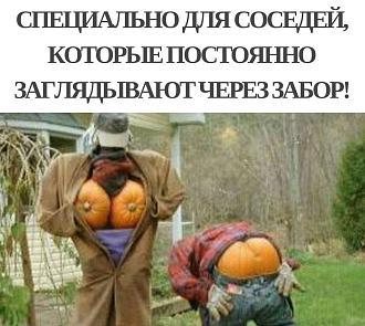 Нажмите на изображение для увеличения.

Название:	IMG_20240718_100552_216.jpg
Просмотров:	1029
Размер:	164.9 Кб
ID:	4506145