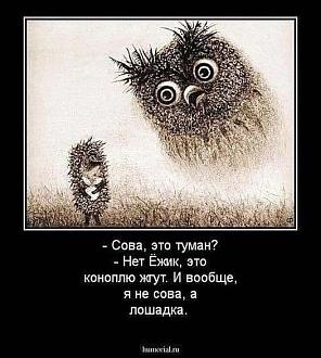 Нажмите на изображение для увеличения.

Название:	450947246_443958058538376_9066147889246865572_n.jpg
Просмотров:	1407
Размер:	77.8 Кб
ID:	4506151