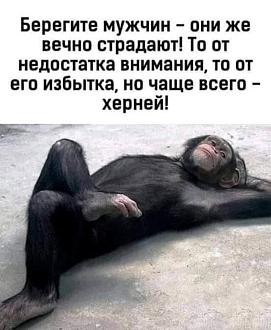 Нажмите на изображение для увеличения.

Название:	IMG_20240727_215504_167.jpg
Просмотров:	1729
Размер:	83.7 Кб
ID:	4506472