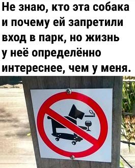 Нажмите на изображение для увеличения.

Название:	IMG_20240727_092109_977.jpg
Просмотров:	1414
Размер:	184.7 Кб
ID:	4506475