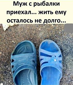 Нажмите на изображение для увеличения.

Название:	IMG_20240729_192431_822.jpg
Просмотров:	1722
Размер:	237.2 Кб
ID:	4506742