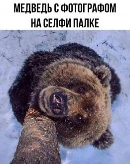 Нажмите на изображение для увеличения.

Название:	453186485_26088535774126563_6330841358128012303_n.jpg
Просмотров:	1612
Размер:	80.4 Кб
ID:	4506771
