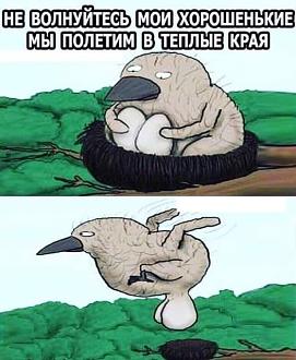 Нажмите на изображение для увеличения.

Название:	453152445_3805040013114461_221011240567731439_n.jpg
Просмотров:	1311
Размер:	76.2 Кб
ID:	4506826
