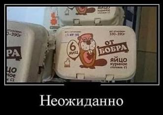 Нажмите на изображение для увеличения.

Название:	453743742_122164654598211842_8759187207712258510_n.jpg
Просмотров:	2542
Размер:	21.4 Кб
ID:	4506951