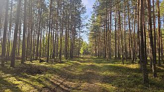 Нажмите на изображение для увеличения.

Название:	20240807_085024.jpg
Просмотров:	2996
Размер:	646.3 Кб
ID:	4507104