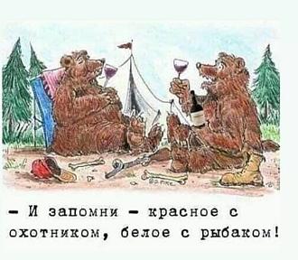 Нажмите на изображение для увеличения.

Название:	IMG_20240806_174554_837.jpg
Просмотров:	1969
Размер:	78.0 Кб
ID:	4507111