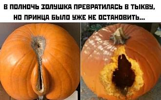 Нажмите на изображение для увеличения.

Название:	IMG_20240809_115834_436.jpg
Просмотров:	1773
Размер:	125.2 Кб
ID:	4507249