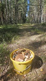 Нажмите на изображение для увеличения.

Название:	20240811_111502.jpg
Просмотров:	4219
Размер:	656.4 Кб
ID:	4507299