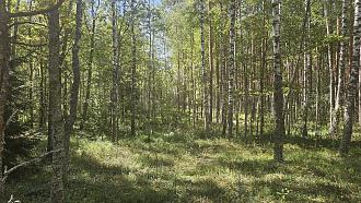 Нажмите на изображение для увеличения.

Название:	20240811_111414.jpg
Просмотров:	4234
Размер:	633.0 Кб
ID:	4507302