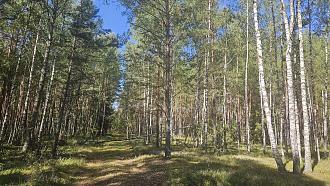 Нажмите на изображение для увеличения.

Название:	20240811_111411.jpg
Просмотров:	4238
Размер:	641.3 Кб
ID:	4507303