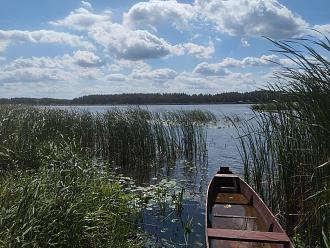 Нажмите на изображение для увеличения.  Название:	IMG_20240811_121821.jpg Просмотров:	0 Размер:	464.5 Кб ID:	4507323