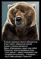 Нажмите на изображение для увеличения.

Название:	images-1-4.jpg
Просмотров:	3412
Размер:	18.9 Кб
ID:	4507341