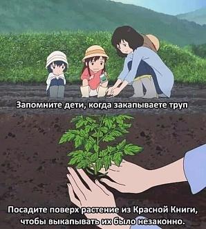 Нажмите на изображение для увеличения.

Название:	2024-06-05-mixnews-113-2.jpg
Просмотров:	1133
Размер:	97.5 Кб
ID:	4507368