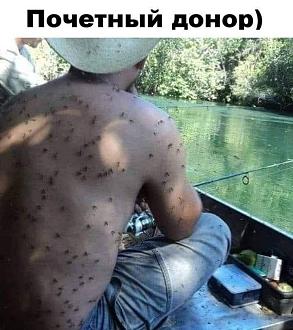 Нажмите на изображение для увеличения.

Название:	IMG_20240813_095633_799.jpg
Просмотров:	1025
Размер:	96.6 Кб
ID:	4507582