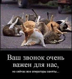 Нажмите на изображение для увеличения.

Название:	IMG-f29af2120e33140cdbbc44f9222f341f-V.jpg
Просмотров:	1584
Размер:	90.1 Кб
ID:	4507678