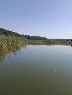 Нажмите на изображение для увеличения.

Название:	IMG_20240817_142401.jpg
Просмотров:	19489
Размер:	218.5 Кб
ID:	4507704