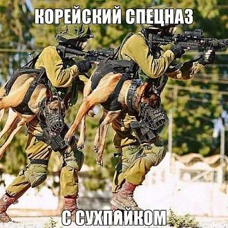 Нажмите на изображение для увеличения.

Название:	455248920_913200807499251_6009017234000024185_n.jpg
Просмотров:	1793
Размер:	114.5 Кб
ID:	4507727