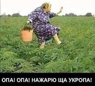 Нажмите на изображение для увеличения.

Название:	455850719_122168683940211842_1955830423679592232_n.jpg
Просмотров:	974
Размер:	58.0 Кб
ID:	4507890