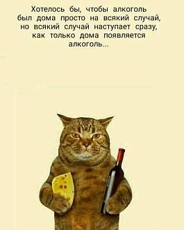 Нажмите на изображение для увеличения.

Название:	455157728_1312290549745190_2264175256254567379_n.jpg
Просмотров:	966
Размер:	45.0 Кб
ID:	4507891