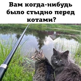 Нажмите на изображение для увеличения.

Название:	IMG_20240821_084932_661.jpg
Просмотров:	747
Размер:	136.6 Кб
ID:	4507984