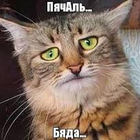 Нажмите на изображение для увеличения.

Название:	images.jpeg
Просмотров:	3039
Размер:	17.8 Кб
ID:	4508138
