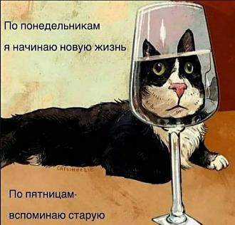 Нажмите на изображение для увеличения.

Название:	456604391_1689118001847374_9006697703360585382_n.jpg
Просмотров:	1221
Размер:	58.8 Кб
ID:	4508168
