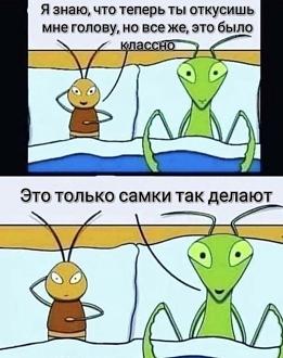 Нажмите на изображение для увеличения.

Название:	2024-08-24-mixnews-112-2.jpg
Просмотров:	1088
Размер:	101.9 Кб
ID:	4508195