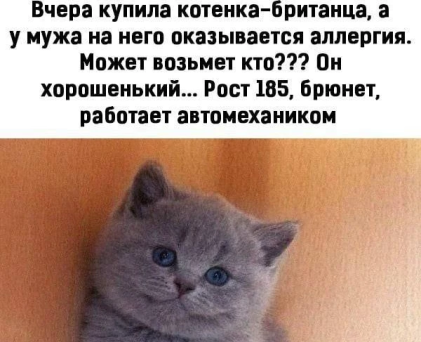 Нажмите на изображение для увеличения.

Название:	photoeditorsdk-export (6).png
Просмотров:	1693
Размер:	203.1 Кб
ID:	4508420