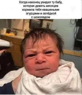 Нажмите на изображение для увеличения.  Название:	457037103_977189997755693_5086510186048123375_n.jpg Просмотров:	85 Размер:	57.8 Кб ID:	4508460