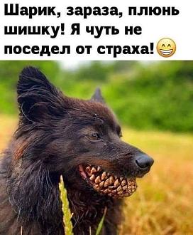 Нажмите на изображение для увеличения.

Название:	IMG_20240829_210514_407.jpg
Просмотров:	1177
Размер:	68.4 Кб
ID:	4508484