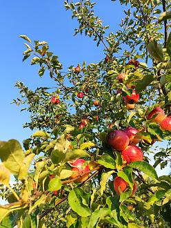 Нажмите на изображение для увеличения.  Название:	IMG_20240903_181016.jpg Просмотров:	1 Размер:	653.1 Кб ID:	4508844