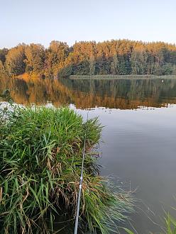 Нажмите на изображение для увеличения.

Название:	IMG_20240908_191201.jpg
Просмотров:	21750
Размер:	591.3 Кб
ID:	4509200