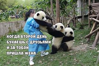 Нажмите на изображение для увеличения.

Название:	458752594_1002666565203768_6482364849290081183_n.jpg
Просмотров:	3321
Размер:	188.1 Кб
ID:	4509239