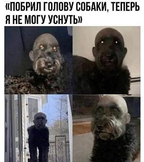 Нажмите на изображение для увеличения.

Название:	Скриншот 12-09-2024 222351.jpg
Просмотров:	3240
Размер:	65.7 Кб
ID:	4509478