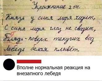 Нажмите на изображение для увеличения.

Название:	IMG_20240911_164225_197.jpg
Просмотров:	1906
Размер:	69.9 Кб
ID:	4509504