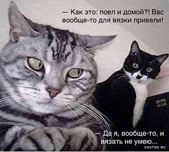 Нажмите на изображение для увеличения.  Название:	459240746_10229828412808835_7618017556261480263_n.jpg Просмотров:	32 Размер:	87.7 Кб ID:	4509530