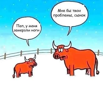 Нажмите на изображение для увеличения.

Название:	изображение_viber_2024-09-16_12-38-37-566.jpg
Просмотров:	1657
Размер:	99.5 Кб
ID:	4509733