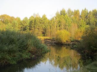 Нажмите на изображение для увеличения.

Название:	IMG_8323.JPG
Просмотров:	10664
Размер:	546.8 Кб
ID:	4509869