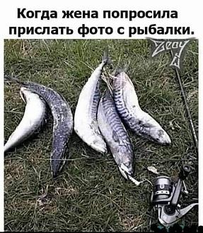Нажмите на изображение для увеличения.

Название:	461175627_900629285271953_2101156957982604861_n.jpg
Просмотров:	2151
Размер:	107.4 Кб
ID:	4510275