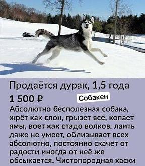 Нажмите на изображение для увеличения.

Название:	IMG_20241002_113114_963.jpg
Просмотров:	1804
Размер:	53.0 Кб
ID:	4510777