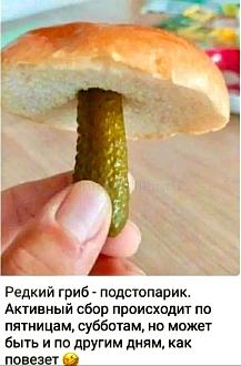 Нажмите на изображение для увеличения.

Название:	51148.383908.jpg
Просмотров:	3741
Размер:	119.2 Кб
ID:	4510892